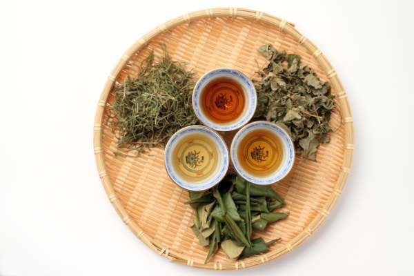 Assorted Japanese herbal teas arranged with brewed tea