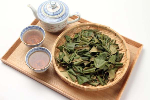 Loquat leaves tea, known as biwa cha, served Japanese style