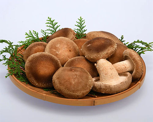 shiitake-mushroom